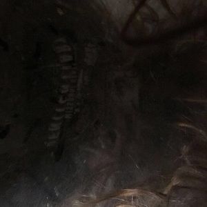 Meet your Posher, Mad